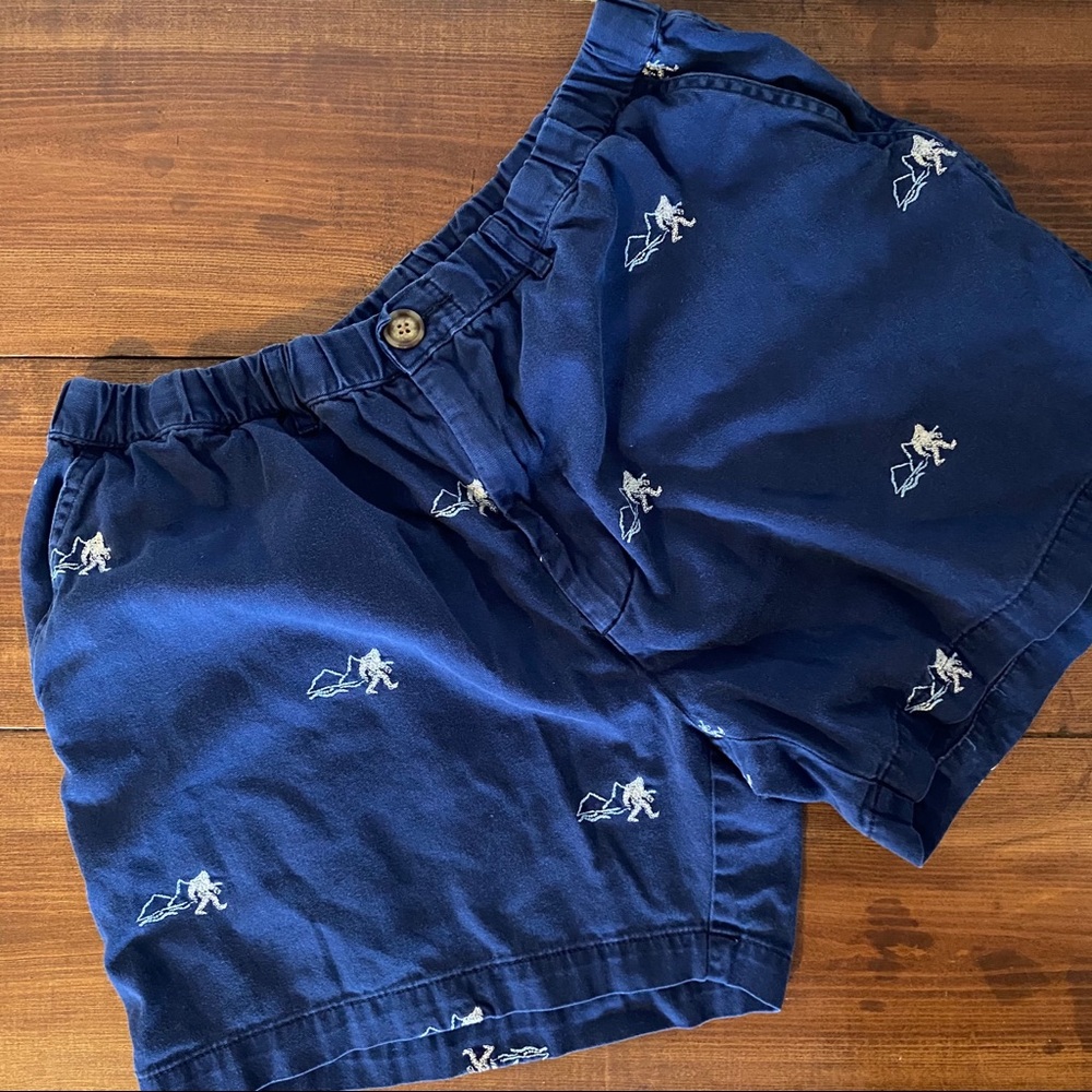 Men’s BigFoot Chubbies Shorts